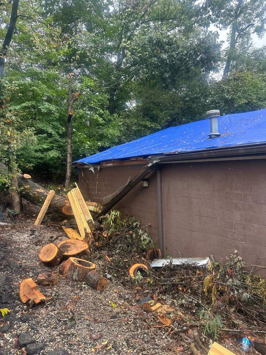 Fallen tree cut into sections beside a tarped building after a storm